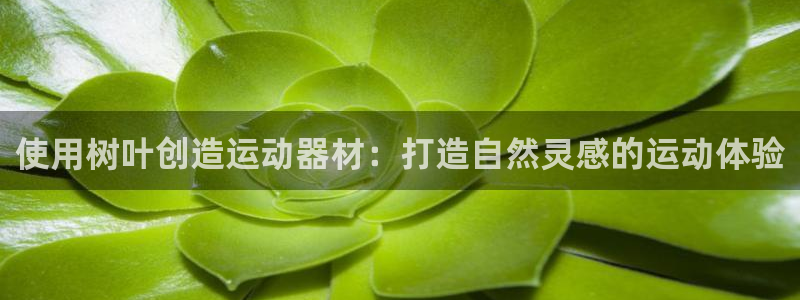 意昂3官方：使用树叶创造运动器材：打造自然灵感的运动