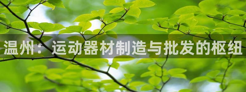 意昂体育3平台假的吗是真的吗吗：温州：运动器材制造与