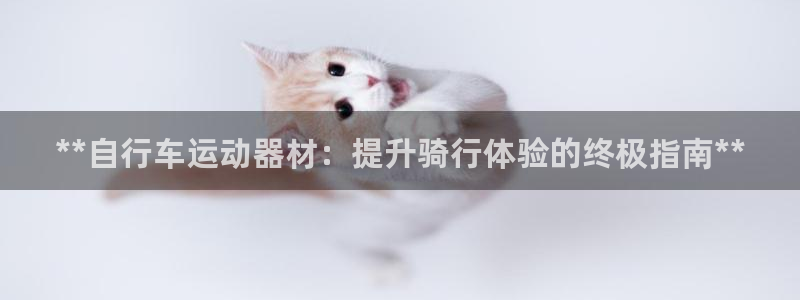 意昂3集团logo：**自行车运动器材：提升骑行体验
