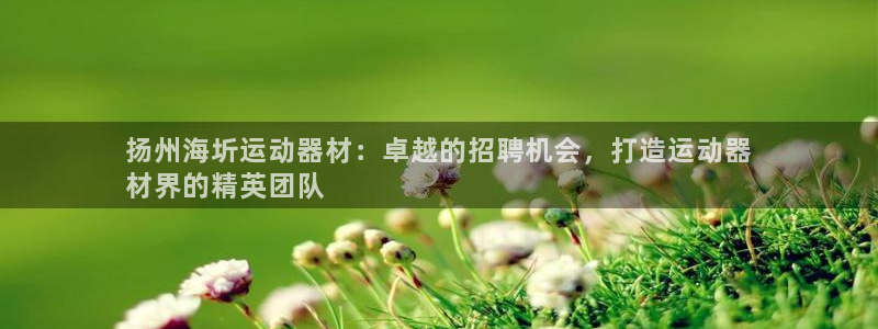 意昂体育3招商：扬州海圻运动器材：卓越的招聘机会，打