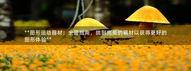 德国意昂3集团：**图形运动器材：全面指南，找到完美