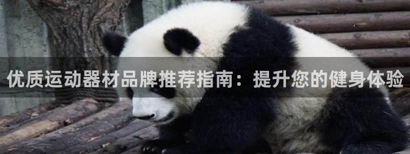 意昂体育3平台是正规平台吗知乎：优质运动器材品牌推荐