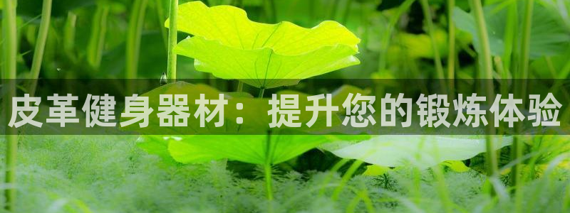 意昂体育3平台是正规平台吗安全吗：皮革健身器材：提升