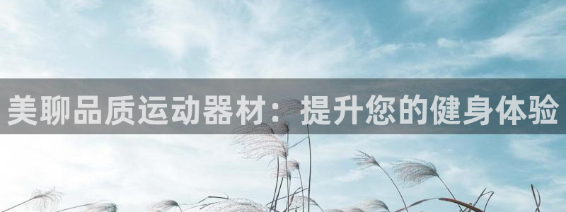 意昂3集团E.ON：美聊品质运动器材：提升您的健身体