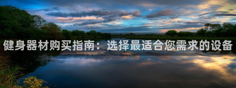 意昂3新能源：健身器材购买指南：选择最适合您需求的设