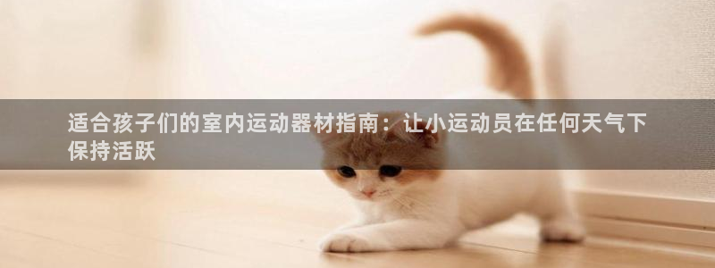 意昂平台体育：适合孩子们的室内运动器材指南：让小运动