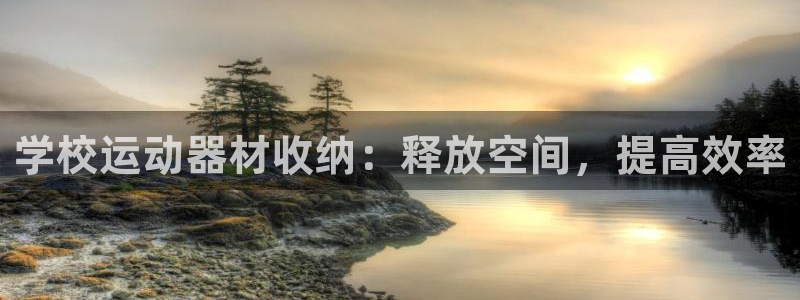 意昂3代理：学校运动器材收纳：释放空间，提高效率