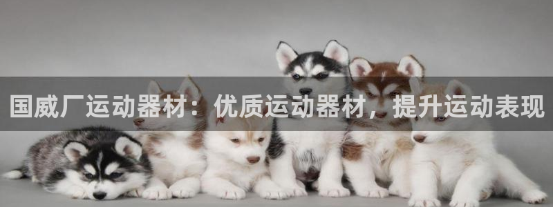 海南意昂体育3：国威厂运动器材：优质运动器材，提升运动表现