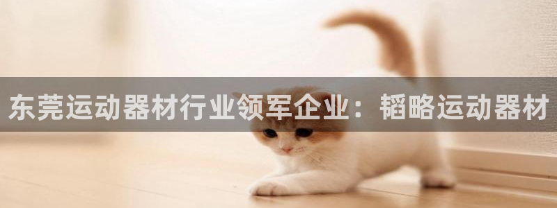 意昂体育3：东莞运动器材行业领军企业：韬略运动器材