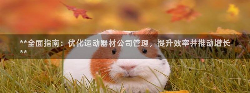 意昂3娱乐40996：**全面指南：优化运动器材公司
