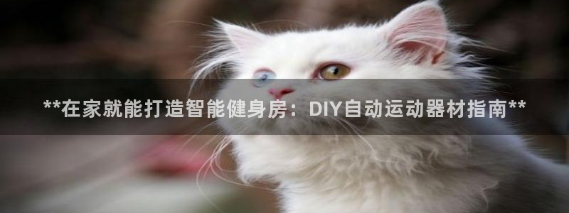 意昂3娱乐代理怎么样
