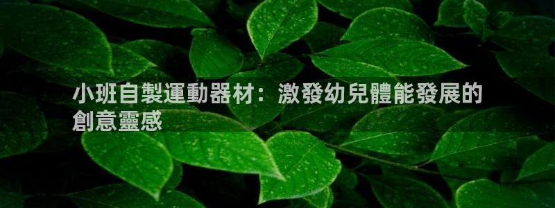意昂3官网：小班自製運動器材：激發幼兒體能發展的
創