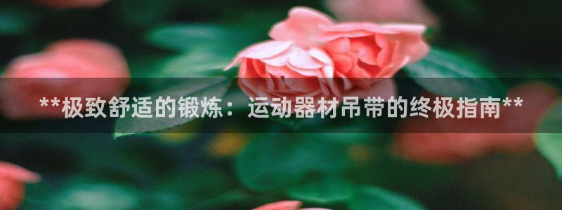 意昂体育3娱乐：**极致舒适的锻炼：运动器材吊带的终