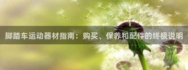 意昂体育3平台是正规平台吗：脚踏车运动器材指南：购买
