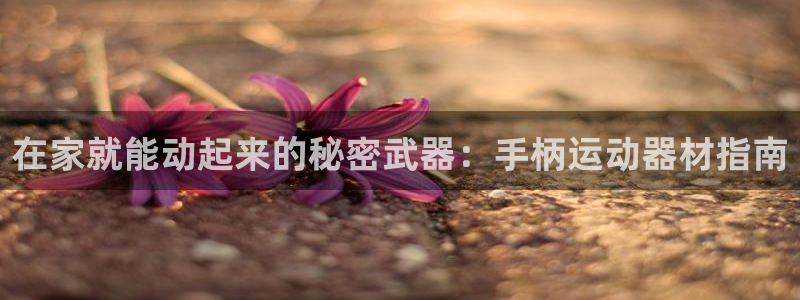 意昂体育3平台注册流程图：在家就能动起来的秘密武器：