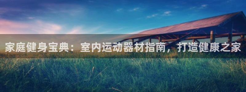 意昂体育3是干嘛的公司：家庭健身宝典：室内运动器材指