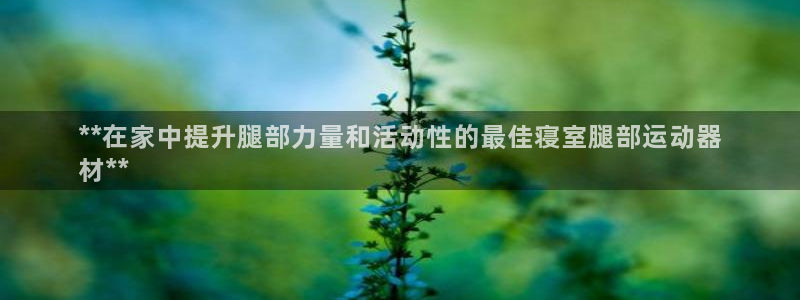 意昂体育3开户：**在家中提升腿部力量和活动性的最佳