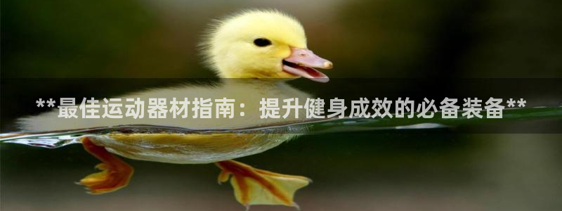 意昂体育3娱乐：**最佳运动器材指南：提升健身成效的