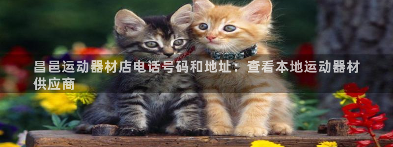 意昂体育3招商电话号码是多少号：昌邑运动器材店电话号码和地址