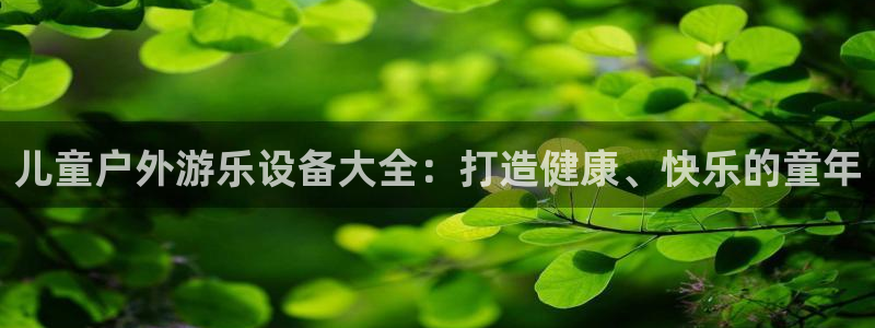意昂体育3招商电话是多少号码：儿童户外游乐设备大全：