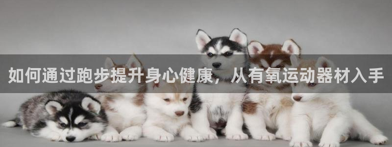 意昂体育3招商电话
