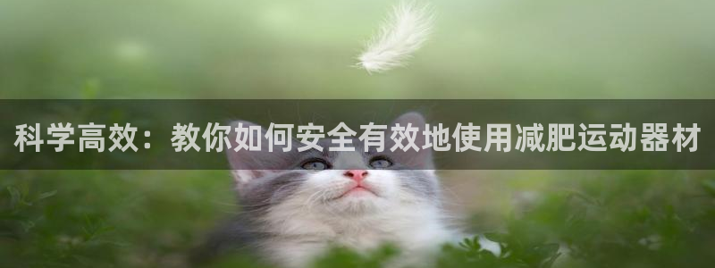 意昂体育3平台注册要钱吗安全吗