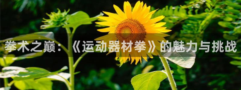 意昂平台体育