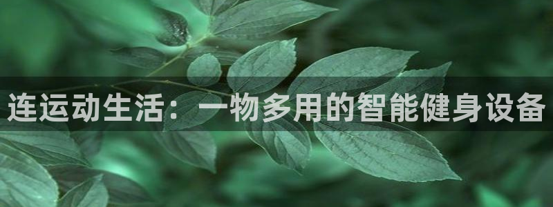 意昂体育3招商电话