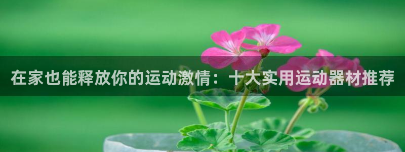 意昂3娱乐下载