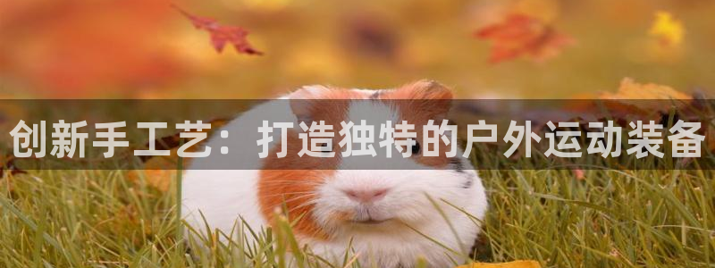 意昂3娱乐下载